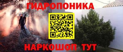 a pvp Краснознаменск